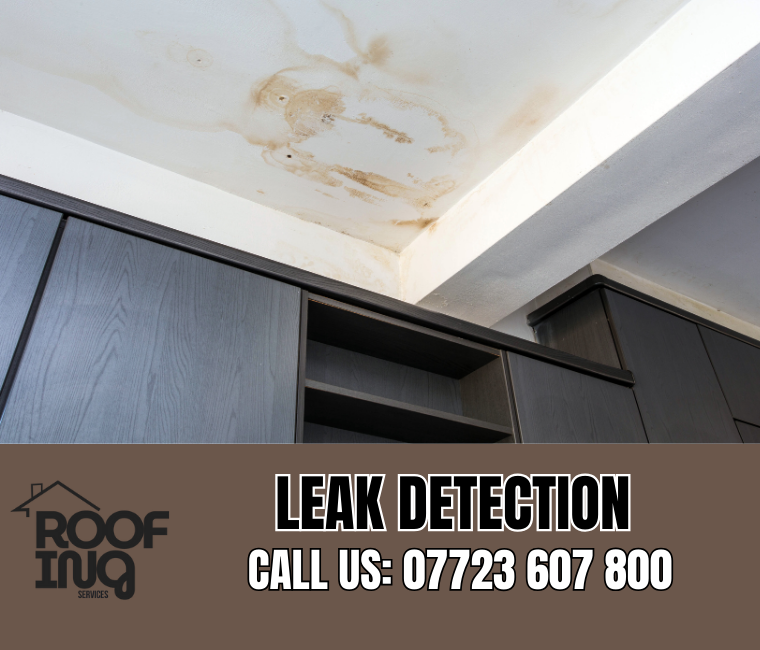 Roof leak detection and repair in Sidmouth