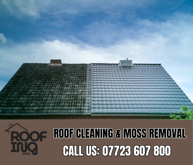 Roof cleaning and moss removal in Sidmouth
